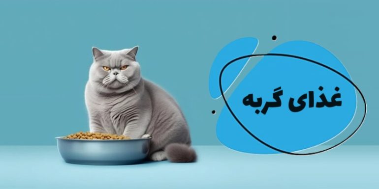 خرید غذای گربه
