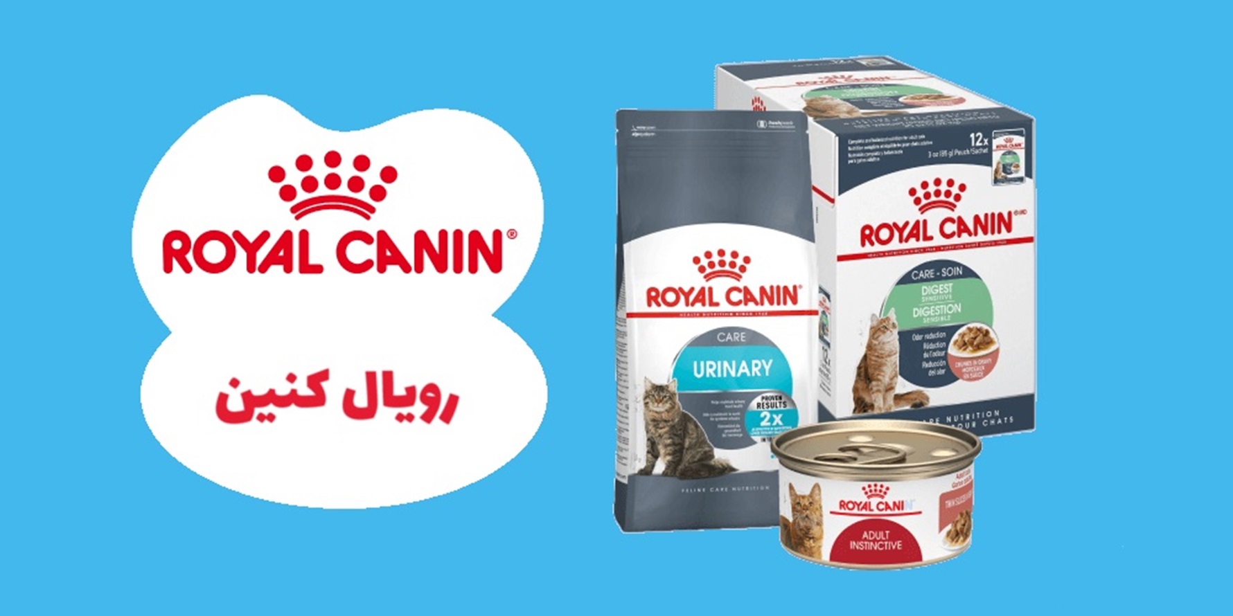 غذای گربه رویال کنین