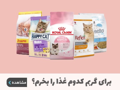 برای گربم کدوم غذا را بخرم؟