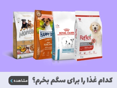 کدام غذا را برای سگم بخرم؟