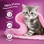 سوپ بچه گربه ویسکاس - Whiskas Junior Cat Pouch - تصویر 2
