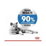 پوچ گربه لایت ویت کر رویال کنین