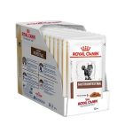 سوپ گربه گاسترو اینتستینال رویال کنین