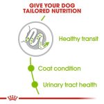 غذای خشک سگ ایکس اسمال رویال کنین - Royal Canin X-Small Adult - تصویر 2