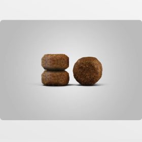 غذای خشک سنیور جوسرا