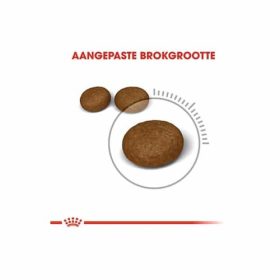 غذای گربه رویال کنین هیر اند اسکین