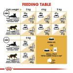 غذای خشک گربه پرشین رویال کنین - Royal Canin Cat Persian Adult - تصویر 3