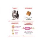 غذای خشک گربه پرشین کیتن رویال کنین - Royal Canin Cat Kitten Persian - تصویر 3