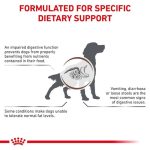 غذای سگ رویال کنین گاسترو اینتستینال با چربی کم - Royal Canin Gastro Intestinal Low Fat - تصویر 2