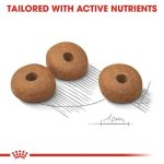 غذای خشک سگ نژاد کوچک لایت ویت کر رویال کنین - Royal Canin Mini Light Weight Care - تصویر 2