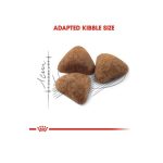غذای رویال کنین ایندور