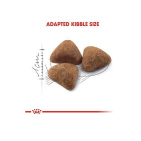 غذای رویال کنین ایندور