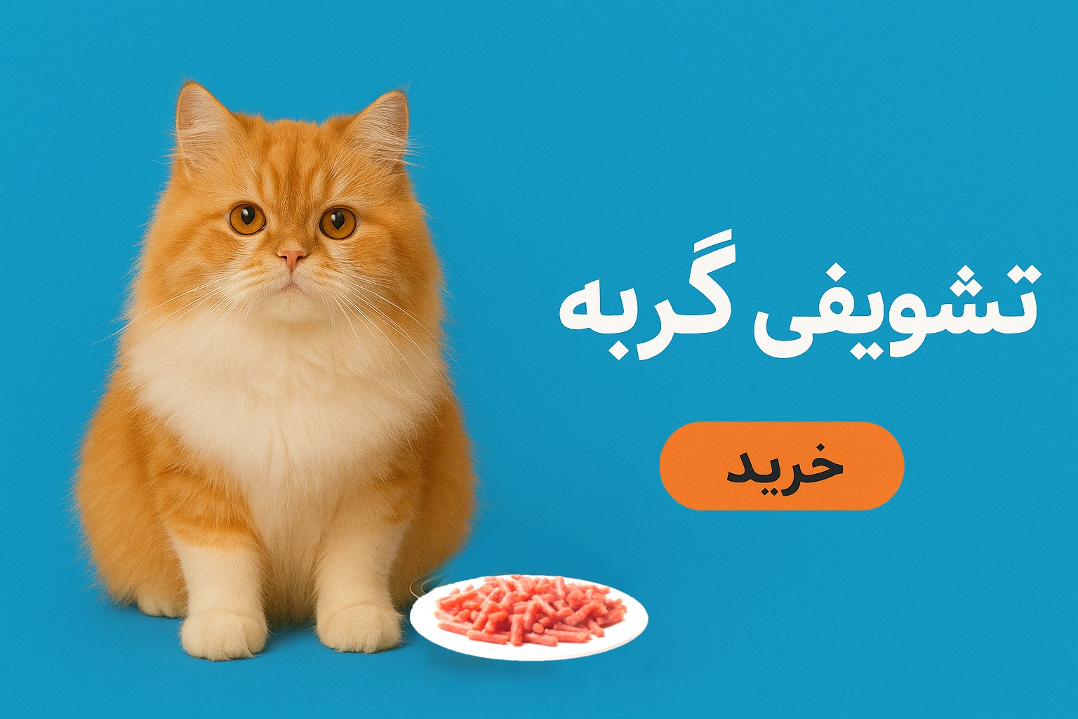 خرید تشویقی گربه