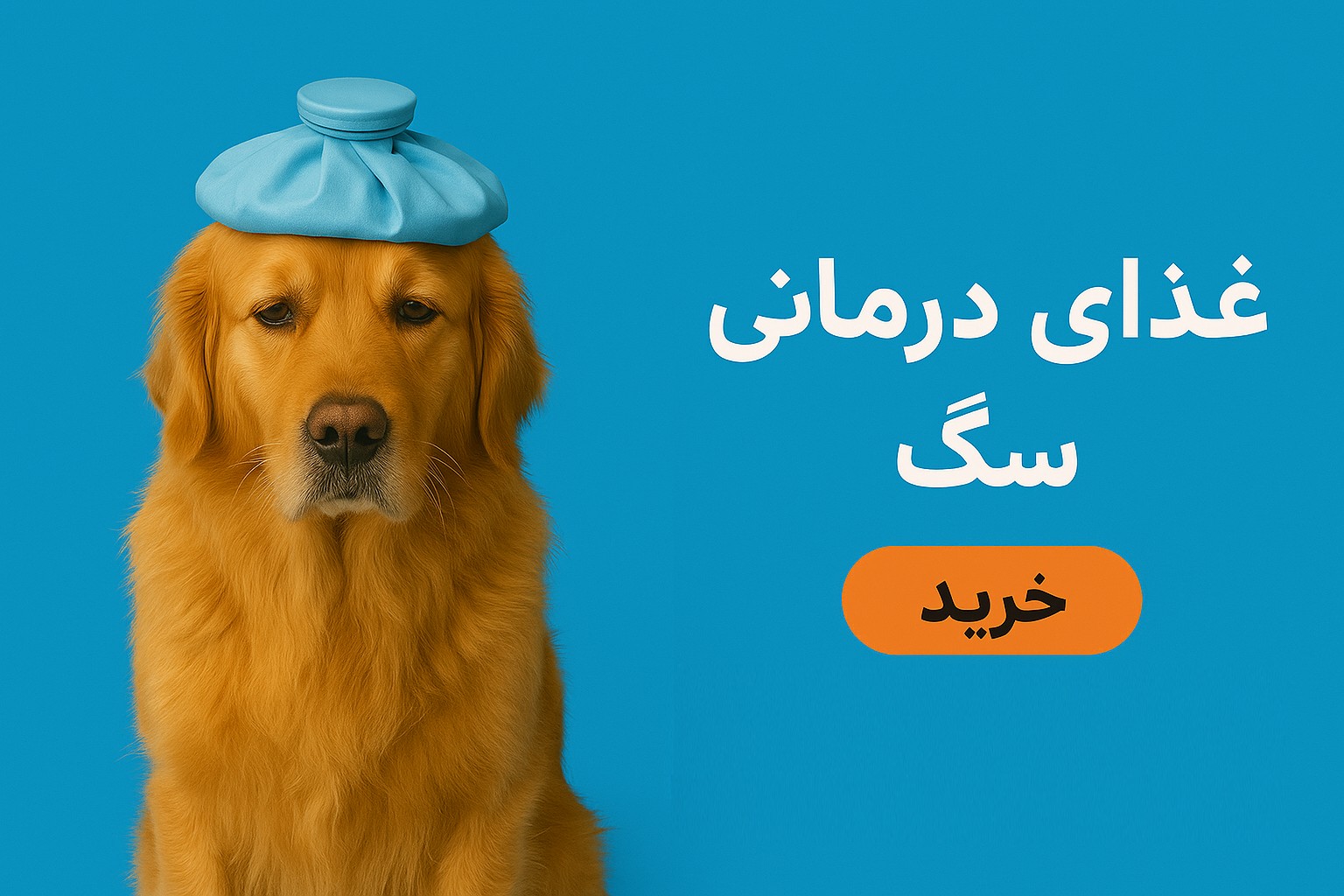غذاهای درمانی سگ