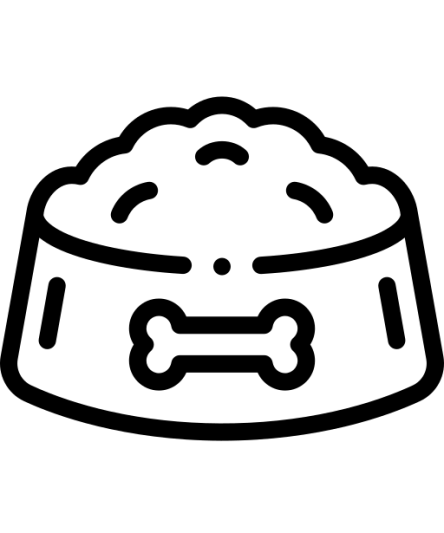 غذای درمانی سگ